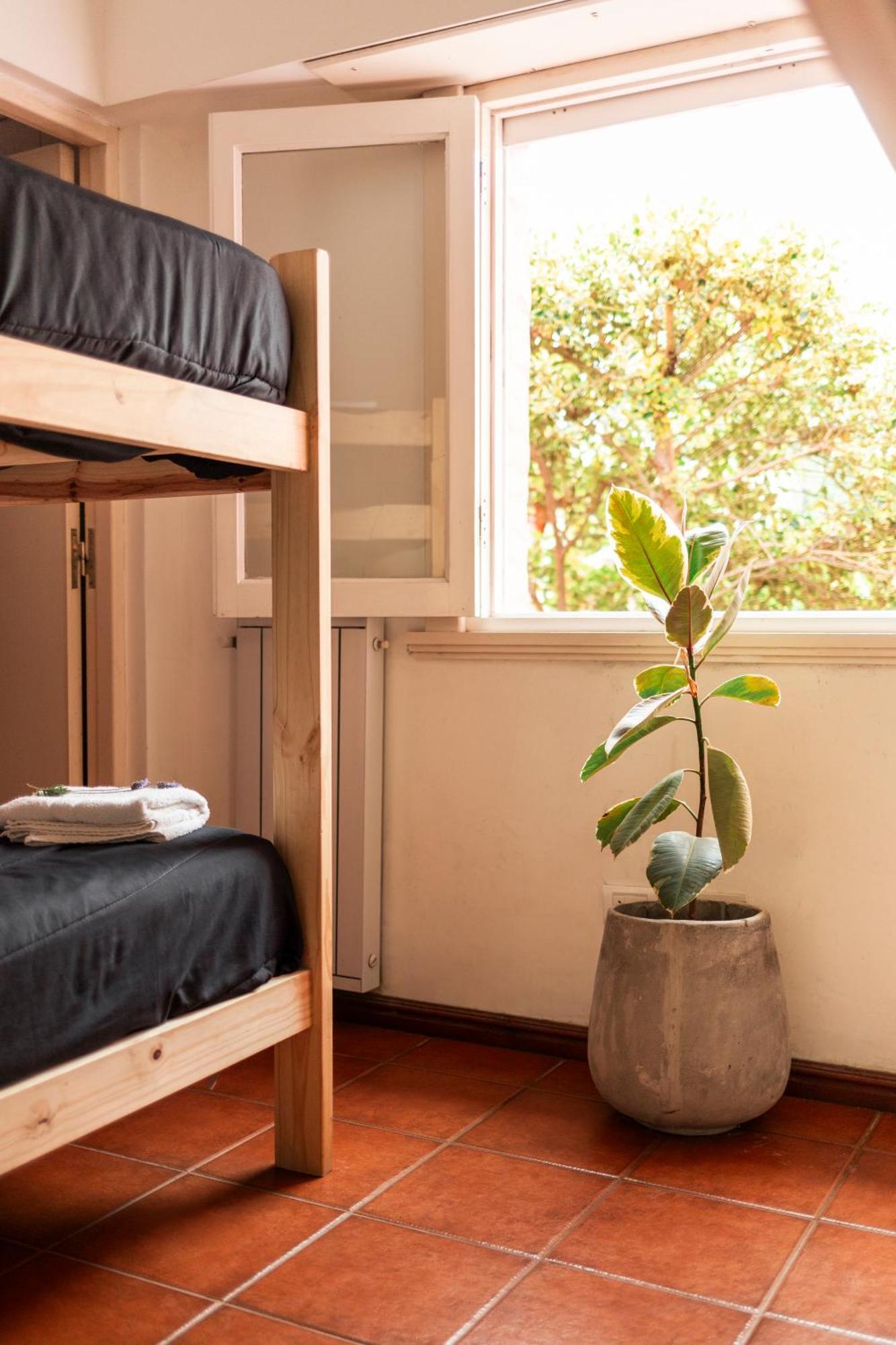 Swell Surf House Hostel Чападмалал Екстериор снимка
